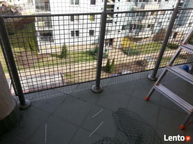 Kocia Siatka dla bezpieczeństwa