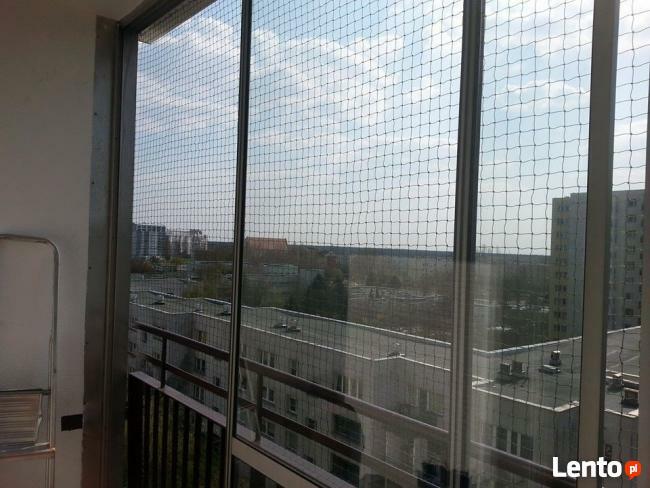 Kocia Siatka dla bezpieczeństwa