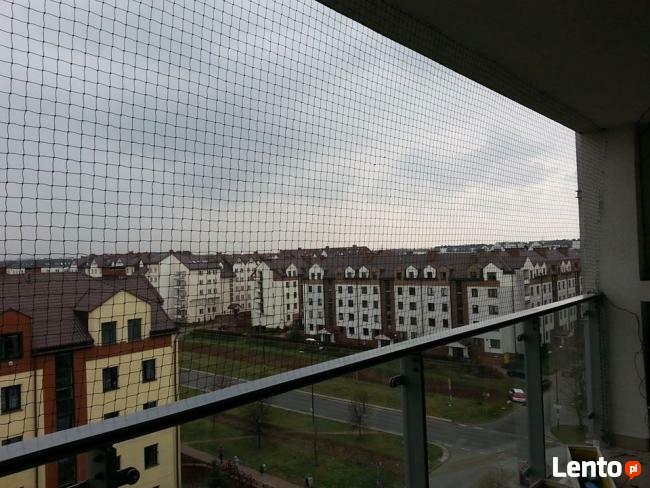 Kocia Siatka dla bezpieczeństwa