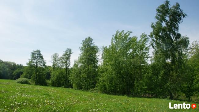 rekreacyjna nad jeziorem Długim/Modzerowskim przy lesie