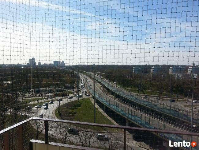 Kocia Siatka dla bezpieczeństwa