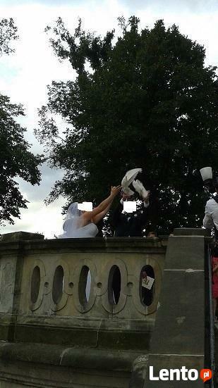 2 BIAŁE GOŁĘBIE NA ŚLUB