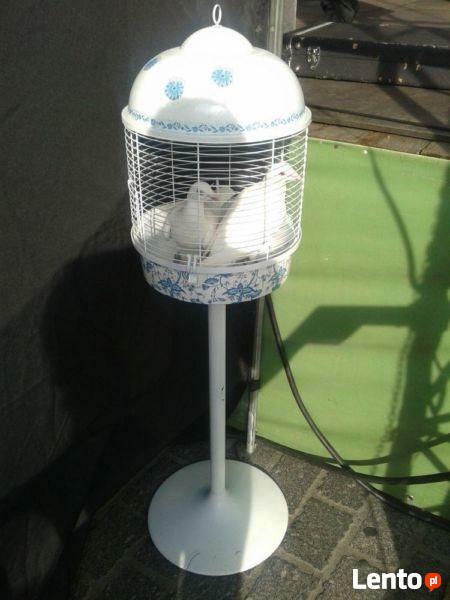 2 BIAŁE GOŁĘBIE NA ŚLUB