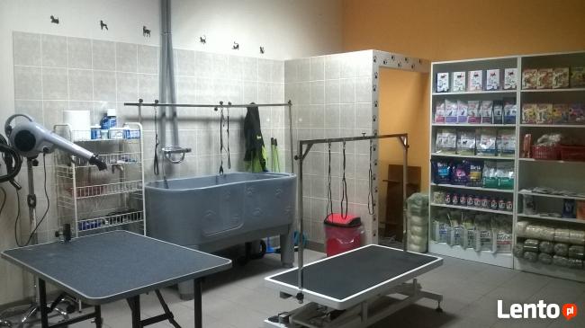 Strzyżenie Psówkotów Dobczyce Centrum Zoologiczne Wataha Dobczyce