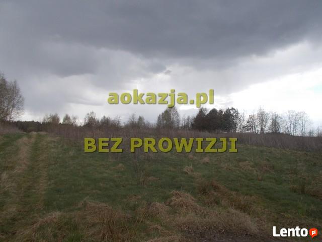 56ar działka rolno budowlana, Kochanówka, Pustków