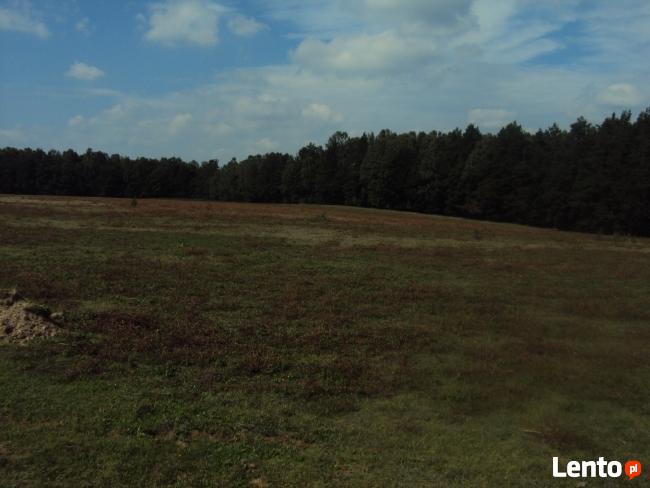 DZIALKI BUDOWLANE KOCHANOWO