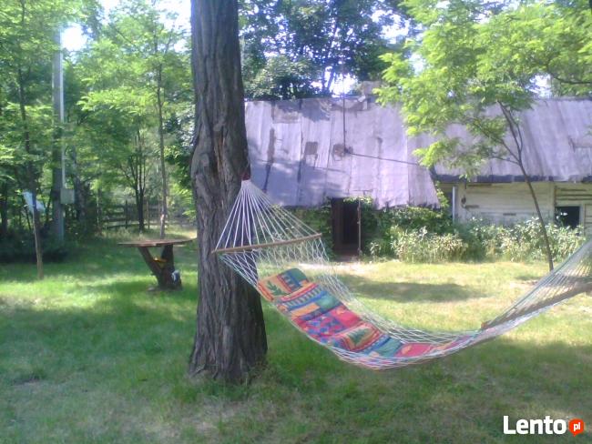 Siedlisko w Gorach Swietokrayskich zamienie