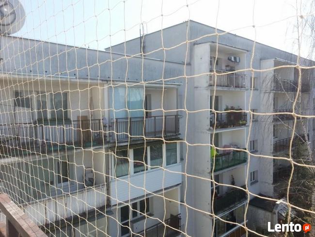 Zabezpieczenie balkonu . Siatka dla kota