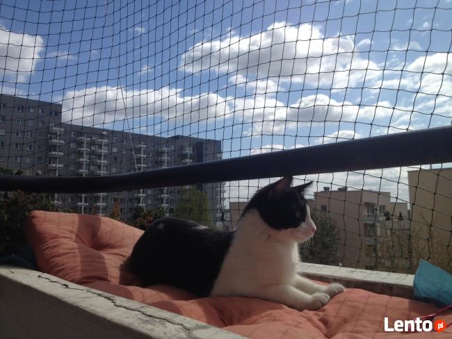 Zabezpieczenie balkonu . Siatka dla kota