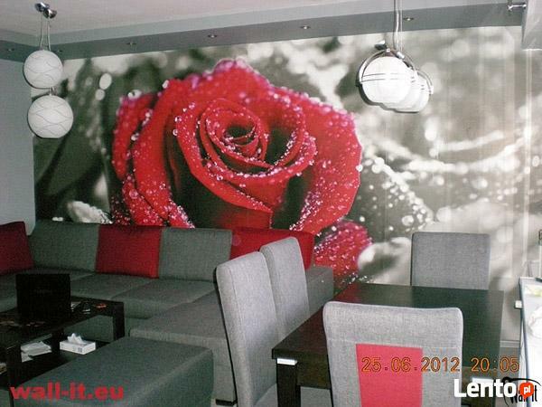 Fototapeta do salonu kwiaty Fototapety wodospad storczyki