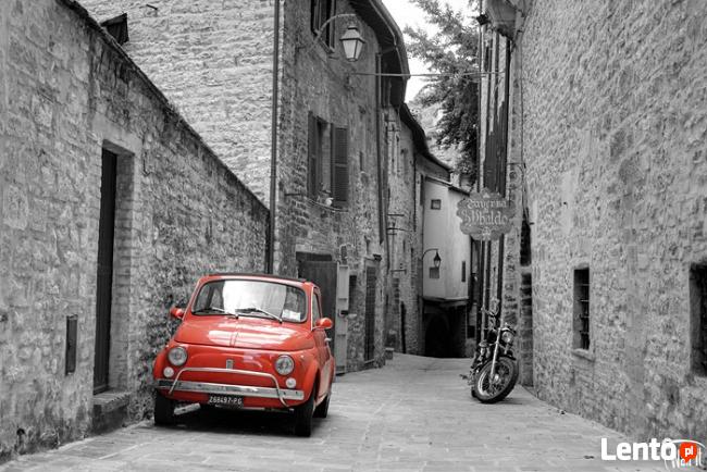 Fototapeta czarno biała z kolorowym akcentem