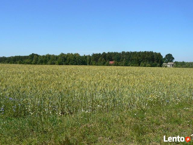 Mysłowice . Grunt rolny 5,40 ha . Niedaleko morza .