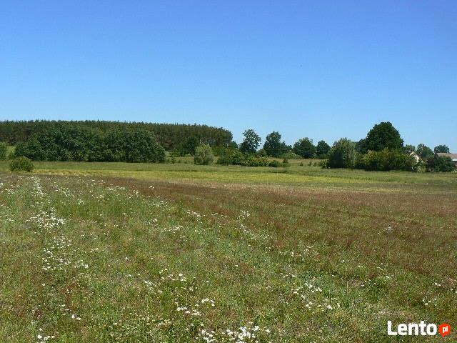 Mysłowice . Grunt rolny 5,40 ha . Niedaleko morza .