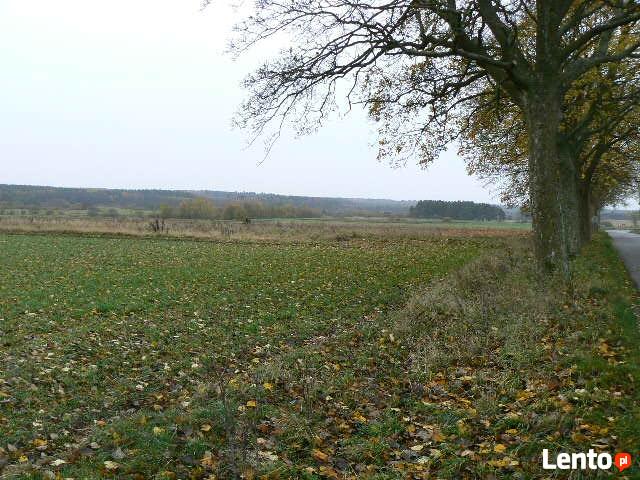Mysłowice . Grunt rolny 5,40 ha . Niedaleko morza .