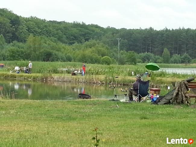 Fishing-Relax Jezierzyce Szczecin - Agroturystyka