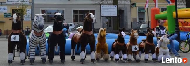 Dmuchańce Zjeżdzalnia 697409880 Festyn Dożynki