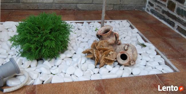 Grys Otoczak ŚNIEŻNOBIAŁY THASSOS white angel NAJlepsza jako