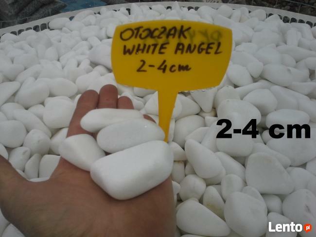 Grys Otoczak ŚNIEŻNOBIAŁY THASSOS white angel NAJlepsza jako