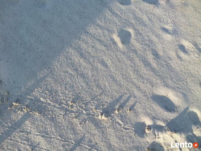 Piasek na wylewki 0-2 ŻORY RYBNIK MIKOŁÓW GLIWICE