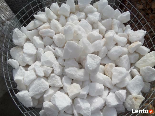 Grys Otoczak ŚNIEŻNOBIAŁY THASSOS white angel NAJlepsza jako