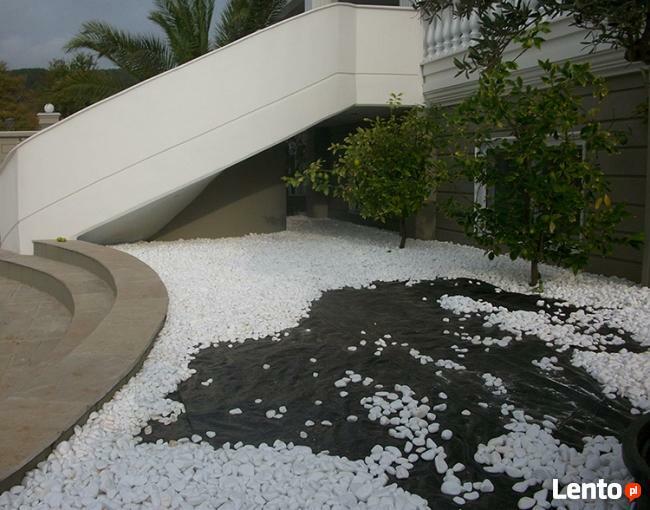 Grys Otoczak ŚNIEŻNOBIAŁY THASSOS white angel NAJlepsza jako