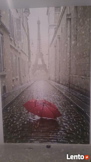 Tapetowanie ścian i sufitów - montaż fototapet -509-983-864-