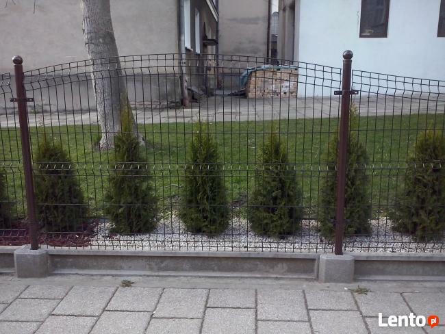 Przęsła ogrodzeniowe FALA 130x200cm fi 4mm ocynk+kolor