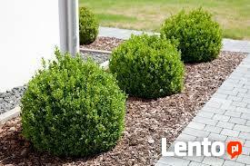 Kora ogrodowa przesiewana, PROMOCJA od 13,99zl