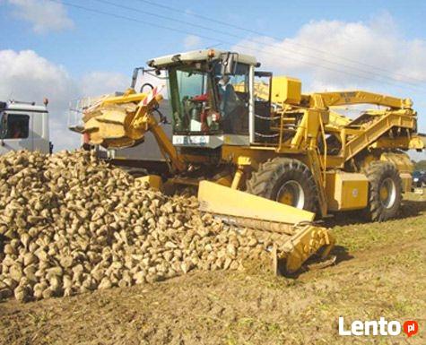 Ukraina.Warzywa,ziemniaki 0,25 zl/kg.Grunty rolne 150 zl/ha