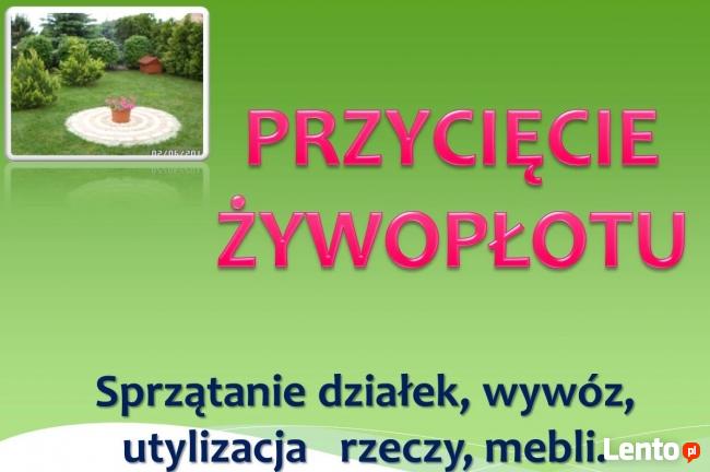 Koszenie działki, 504-746-203, przycięcie żywopłotu, cena