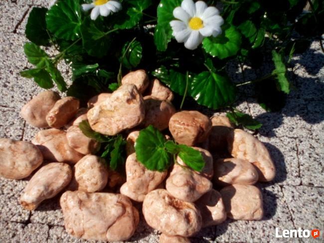 Kamien ogrodowy an.dar jelenia gora piechowice