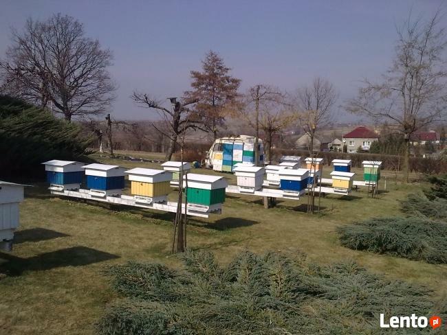 Ule Wielkopolskie Ocieplane Używane Stan B Dobry Czyste