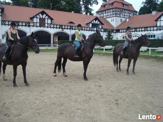KSIĄŻAŃSKA TRÓJKA - oferta dla zorganizowanych grup