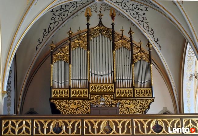 Organista (woj.Dolnośląskie)