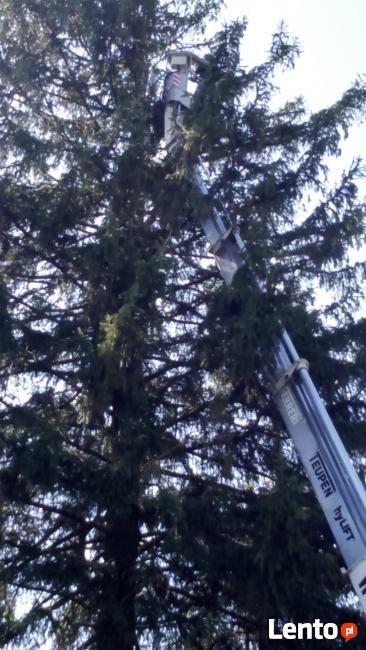 Wycinka drzew - Elbląg Pasłęk Braniewo