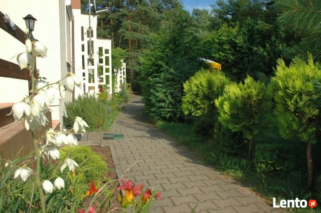 Urlop, wczasy -TANIO, ładne domki w lesie, nad jeziorem