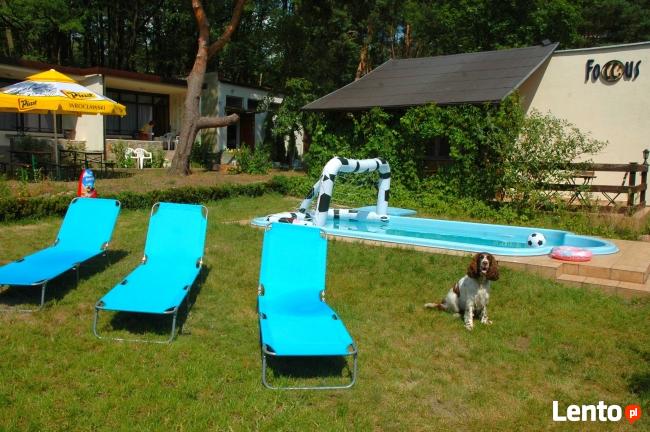 Urlop, wczasy -TANIO, ładne domki w lesie, nad jeziorem