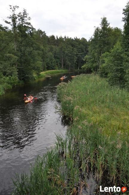 Spływ kajakowy Krutynia wypożyczalnia Kajaków