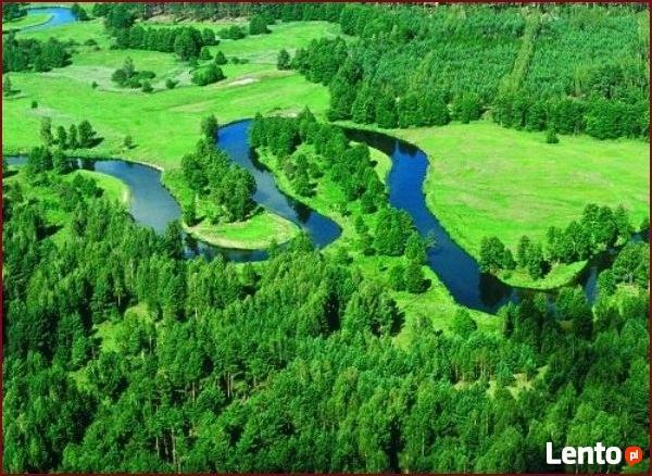 Spływ kajakowy Krutynia wypożyczalnia Kajaków