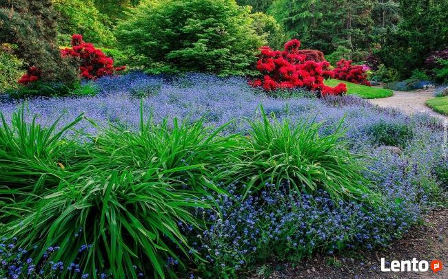 Współpraca- sprzątanie - wspólnoty mieszkaniowe,administra.