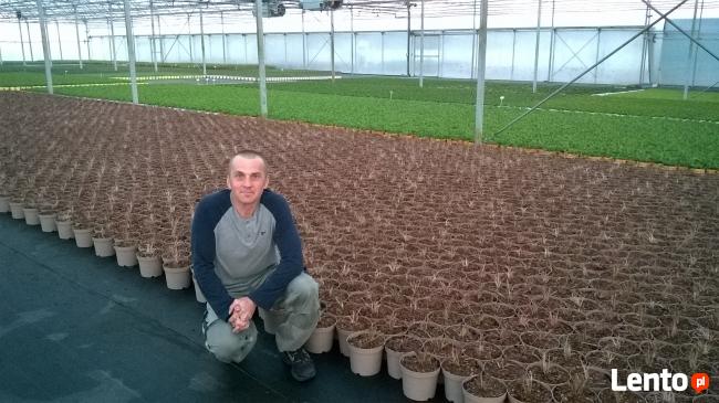 43-cio latek poszukuje przyjazni a moze cos wiecej:)