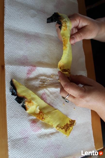 Kurs BodyConing®- autorskiej metody konchowania na ciele