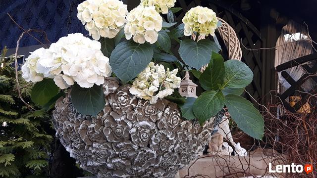 Misa donica różana dekoracja do ogrodu
