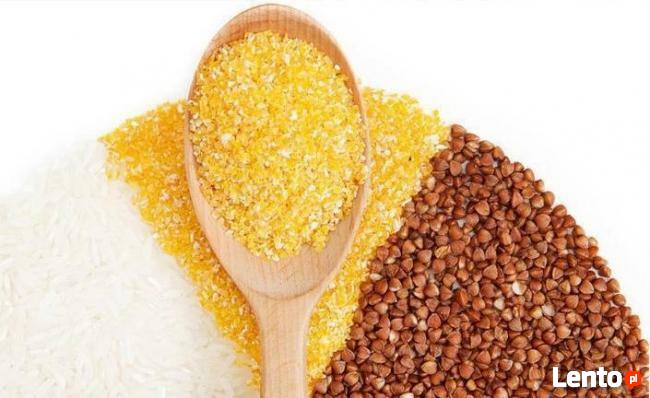 Profesjonalny i Mocny Młynek Młyn Do Mielenia Rozdrabniacz