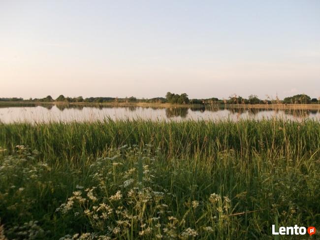 Działka z linią brzegową