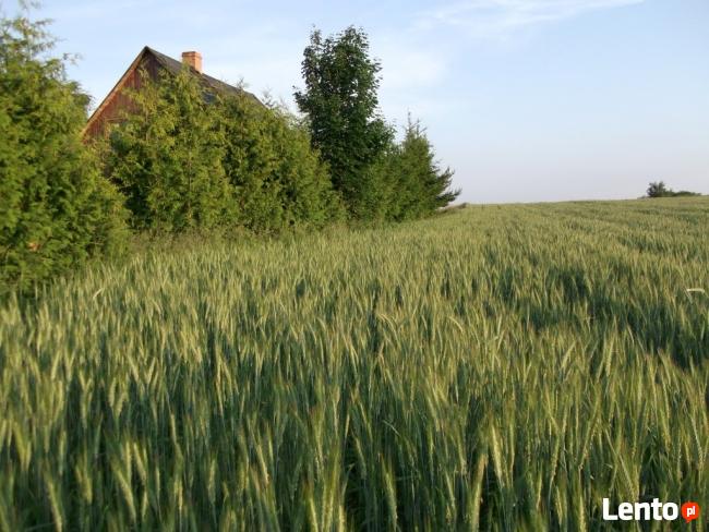 Działka z linią brzegową