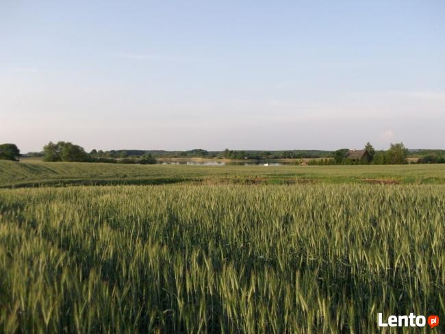 Działka z linią brzegową