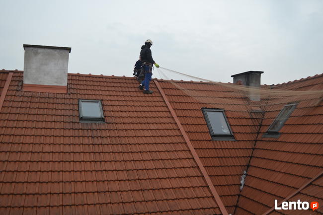 Odstraszanie gołębi