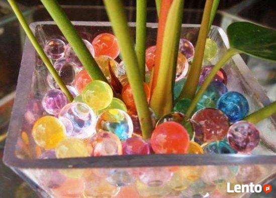 Kulki, które rosną w wodzie ozdobne dekoracja ozdoba