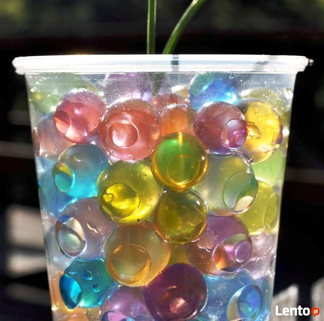 Kulki, które rosną w wodzie ozdobne dekoracja ozdoba